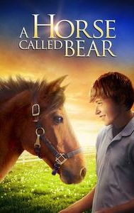 A Horse Called Bear