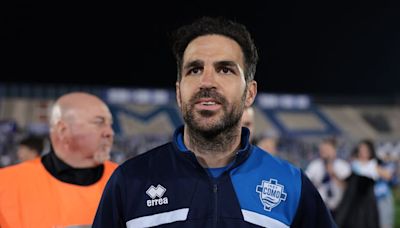 Cesc Fabregas plots Chelsea transfer raid for player Mauricio Pochettino called 'amazing'