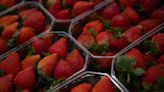 El mejor fertilizante para las fresas es algo que tiras a la basura cada día