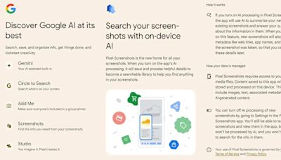 Google將在Pixel 9系列手機啟用全新「Google AI」服務品牌