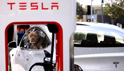 Trending tickers: Tesla, Reddit, Walmart and GSK