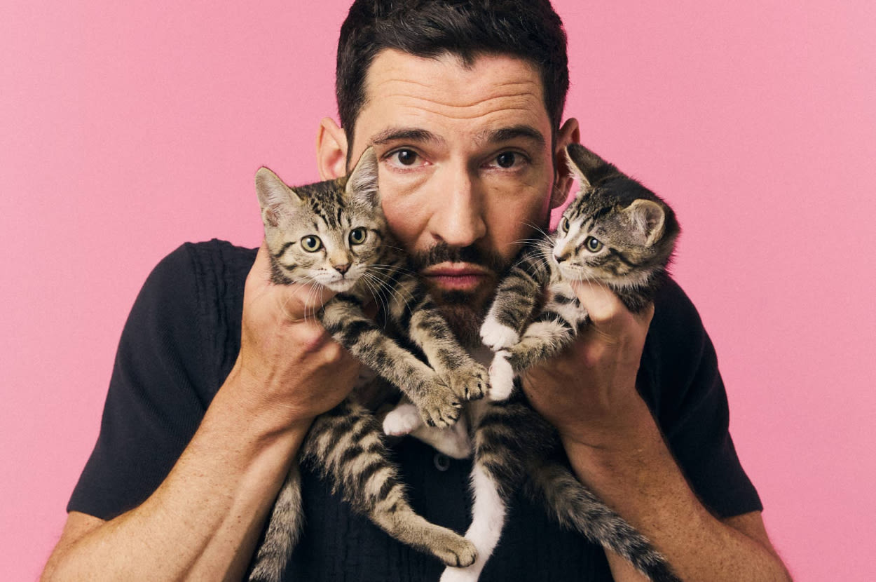 Tom Ellis Just Talked About "Lucifer," His New Animated Series, And More While Playing With Kittens