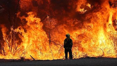 The Park Fire burned through most of Chico State’s Big Chico Creek Ecological Reserve