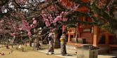 Shinto shrine