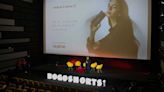Bogoshorts abrió nueva convocatoria para realizadores aficionados y profesionales: así puede participar