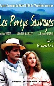 Les poneys sauvages