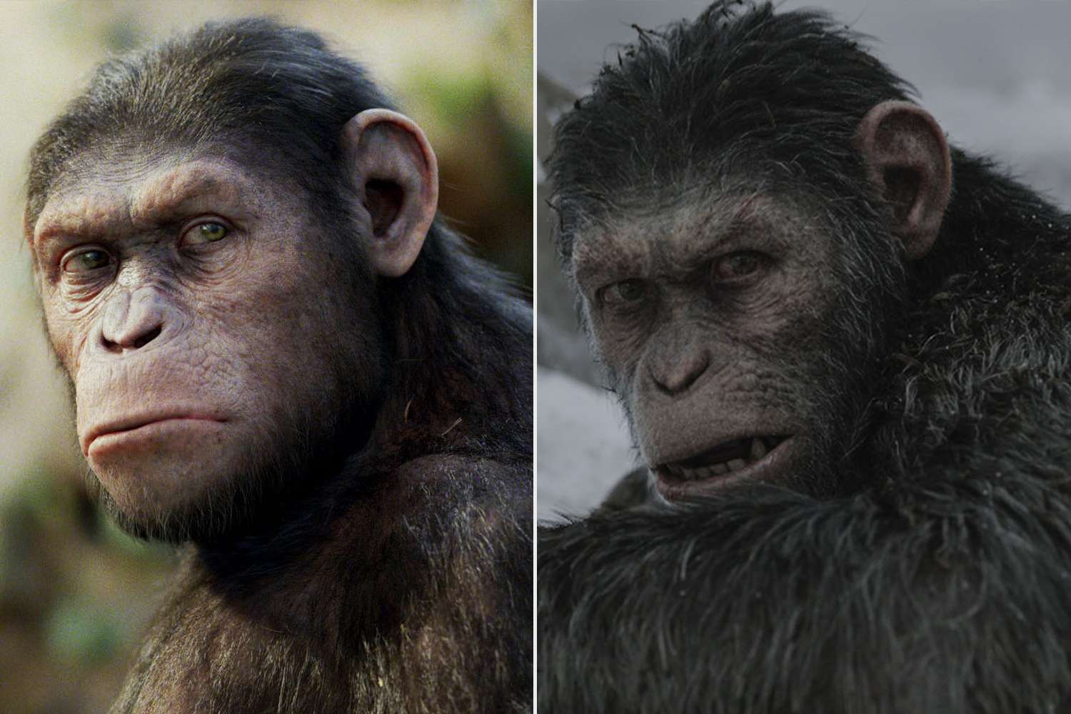 How to Watch All of the “Planet of the Apes” Movies in Order