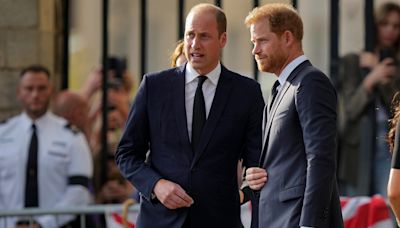 Prince Harry knows Prince William ‘would never forgive’ him for what he did