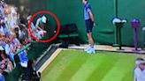 Excruciating moment Wimbledon spectator gets hit in the crotch by 96mph serve