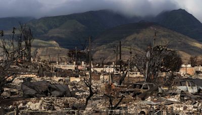 Maui wildfire survivor fears $4bn settlement will hide accountability