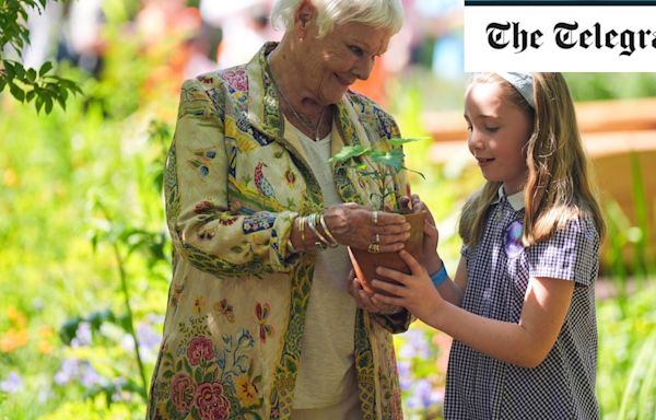 Dame Judi Dench places first Sycamore Gap seedling at Chelsea Flower Show