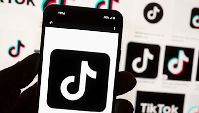 Instagram, YouTube the biggest likely winners of TikTok ban but smaller rivals could rise too