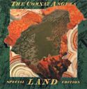 Land (The Comsat Angels album)