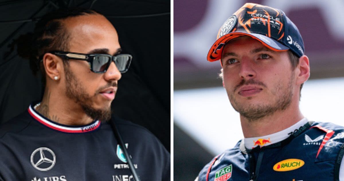 McLaren chief takes aim at FIA over Max Verstappen with Lewis Hamilton jibe