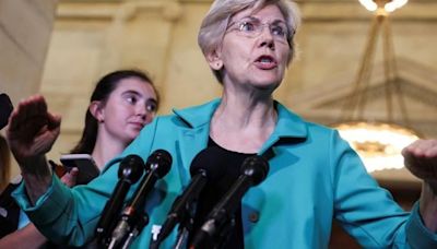 Senator Warren chides US Treasury for slow progress in tackling racial discrimination