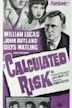 Calculated Risk (film)