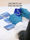 Secrets Of The Museum