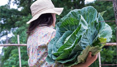 Qué verduras y frutas de la huerta aceleran el metabolismo y dan más energía