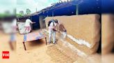 Chandipura Virus Outbreak in Panchmahal District | Vadodara News - Times of India