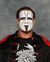 Sting (wrestler)