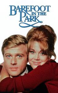 Barefoot in the Park (film)