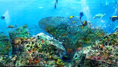 Bosques marinos para regenerar la biodiversidad y los ecosistemas de los océanos