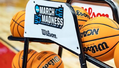 BOZICH | U of L, UK, IU basketball portal success should turn March misery to madness again