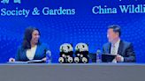 Supes to weigh mayor's panda funding proposal