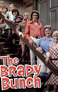 The Brady Bunch