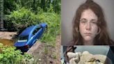 Driver With Fentanyl In Stuffed Moose Bag Sends Dodge Avenger Down Stafford Embankment: Cops
