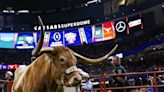 What is a Longhorn? Texas softball nickname, explained ahead of 2024 NCAA Tournament, WCWS