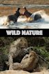 Wild Nature