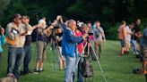 Does your dog need solar glasses for the eclipse?