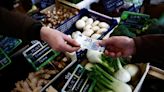 Euro zone inflation dips but stubborn core prices may worry ECB