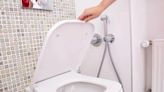 People are only just realising they should be changing their toilet seats regularly
