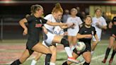 Girls soccer: Scouting the postseason in Cook and Lake County