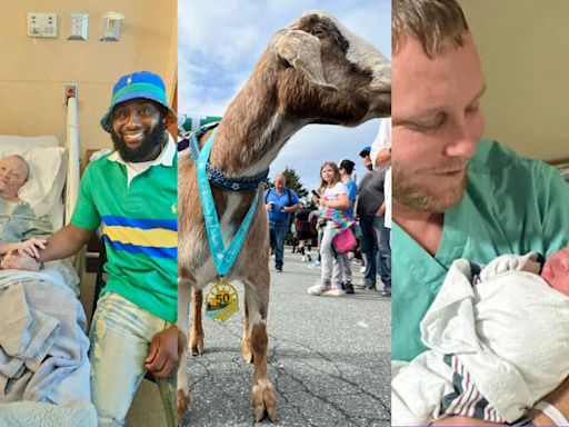 Finally, some good news: UPS driver saves woman's life, N.L marathon sees unlikely 4-legged medalist, gene therapy allows father to see newborn