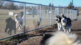 Proposed changes to Family Park leave off-leash dog owners angry