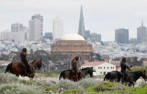 California Gets a Taste of What a Real Planet of the Apes Might Look Like