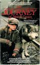 The Journey of Natty Gann