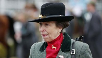 UK's Princess Anne In Hospital With 'Minor Injuries And Concussion': Palace