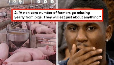 People Are Sharing The Disturbing Facts They Wish They Could Unlearn, And I Wish I Could Go...
