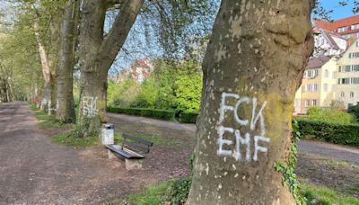 Palmer gegen Graffiti-Szene in Tübingen: Wieder Ärger mit Schmierereien