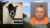 Pinellas Man Accused of Killing Dog He'd Just Adopted | 95.3 WDAE | Florida News