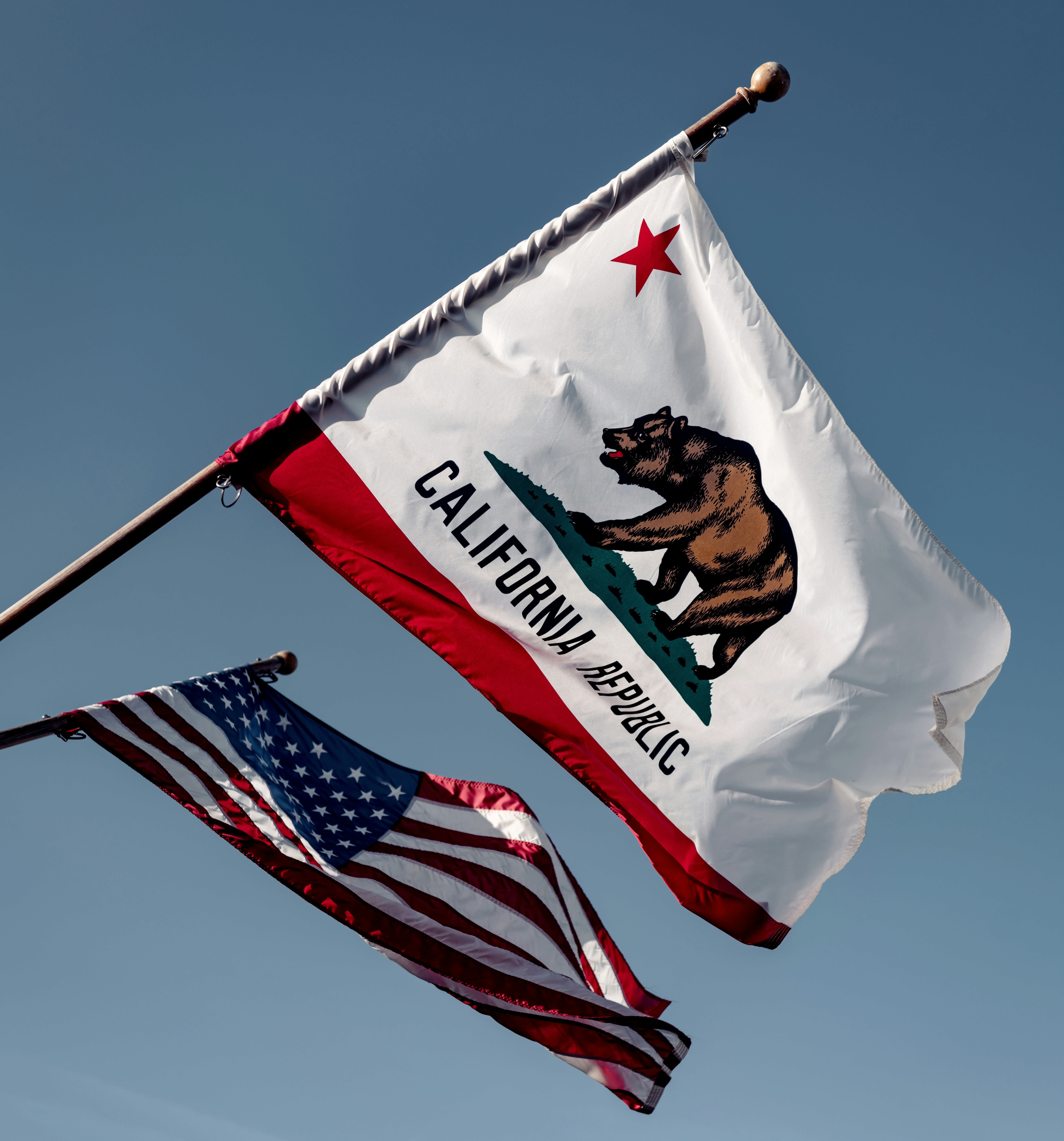 What you didn’t learn in history class about California's flag