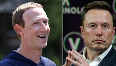 Elon Musk agrees to scrap with Mark Zuckerberg – at 'any time, under any rules'