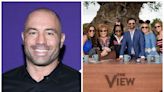 Joe Rogan attacks The View as ‘rabies-infested hen house’