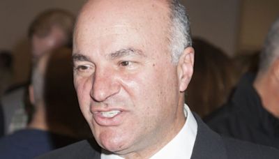 Kevin O'Leary Says You Can Survive On $500,000 And 'Do Nothing Else To Make Money'