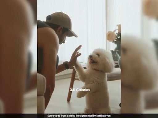 In Kartik Aaryan's New Post With Pet Katori, Will The Real "Champion" Please Stand Up?