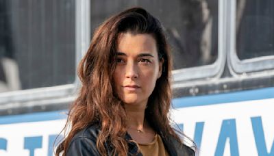 Cote De Pablo Has An Idea For How To Bring A Killed-Off NCIS Villain Back For The Tony And Ziva Spinoff